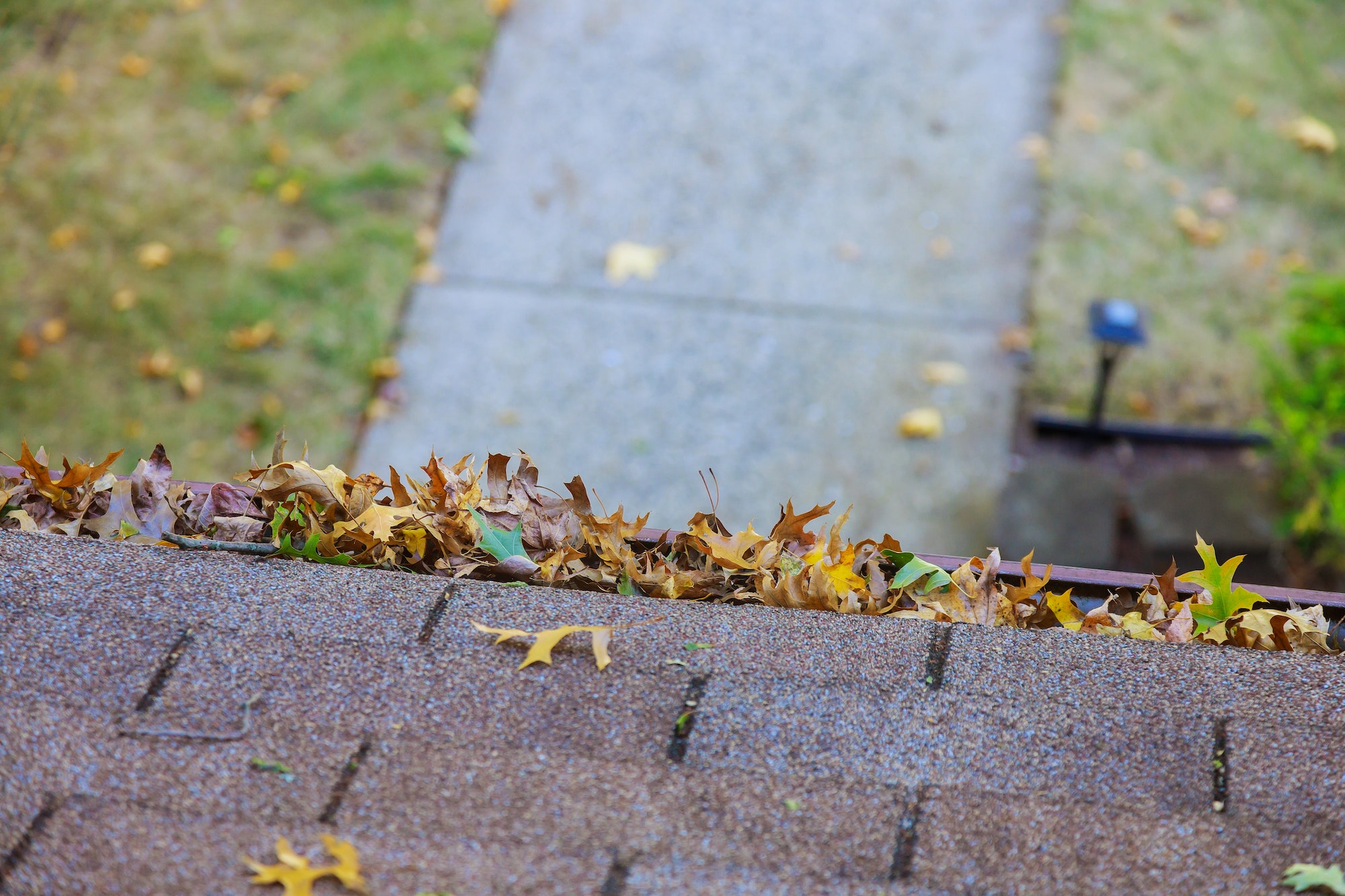 Yellow leaves are covered with iron gutter cover on a roof with leaves